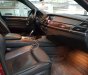 BMW X6   2009 - Cần bán xe BMW X6 đăng ký 2009, full option giá rẻ