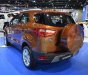 Ford EcoSport  Ambiente MT 2018 - Bán xe Ford EcoSport sản xuất năm 2018, màu nâu cánh gián