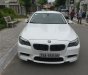 BMW 1 Cũ  5 2.5AT 200 2010 - Xe Cũ BMW 5 2.5AT 2010