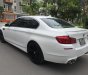 BMW 1 Cũ  5 2.5AT 200 2010 - Xe Cũ BMW 5 2.5AT 2010