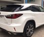 Lexus RX   AT  2016 - Bán Lexus RX AT đời 2016, xe nhập