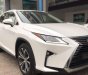 Lexus RX   AT  2016 - Bán Lexus RX AT đời 2016, xe nhập