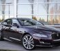 Jaguar XJL Portfolio 2016 - Jaguar XJL Portfolio - dòng xe đỉnh cao tại VN 