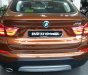 BMW X4 Mới   XDrive20i 2018 - Xe Mới BMW X4 XDrive20i 2018