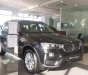 BMW X3 Mới   XDrive20i 2018 - Xe Mới BMW X3 XDrive20i 2018