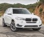 BMW X5 Mới   XDrive35i 2018 - Xe Mới BMW X5 XDrive35i 2018