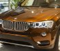 BMW X3 Mới   XDrive20i 2018 - Xe Mới BMW X3 XDrive20i 2018