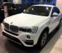 BMW X4 Mới   XDrive20i 2017 - Xe Mới BMW X4 XDrive20i 2017