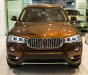 BMW X3 Mới   XDrive20i 2018 - Xe Mới BMW X3 XDrive20i 2018