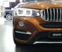 BMW X4 Mới   XDrive20i 2018 - Xe Mới BMW X4 XDrive20i 2018