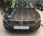 Volkswagen Passat GP 2017 - Bán Passat GP màu nâu, nhập khẩu Đức, giao xe ngay hỗ trợ vay 80%, Volkswagen Đà Nẵng