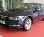 Volkswagen Passat Bluemotion 2017 - Bán xe Volkswagen Passat Bluemotion Sedan D xe Đức nhập khẩu chính hãng mới 100% giá rẻ. LH 0933 365 188