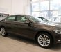 Volkswagen Passat Bluemotion 2017 - Bán xe Volkswagen Passat Bluemotion Sedan D xe Đức nhập khẩu chính hãng mới 100% giá rẻ. LH 0933 365 188