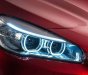 BMW 2 Series    2016 - Cần bán BMW 2 Series năm 2016, màu đỏ như mới