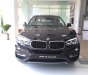 BMW X6 Mới   XDrive30i 2018 - Xe Mới BMW X6 XDrive30i 2018