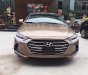 Hyundai Elantra 2.0 at 2018 - Cần bán xe Hyundai Elantra 2.0 AT đời 2018, màu nâu