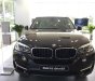 BMW X5 Mới   XDrive35i 2018 - Xe Mới BMW X5 XDrive35i 2018