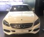 Mercedes-Benz C class 2018 - Khuyến mại cực khủng, mua xe Mercedes C200 năm 2018