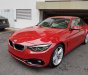 BMW 4 Series Grand Coupe 2017 - Bán ô tô BMW 4 Series năm 2017 màu đỏ, 1 tỷ 899 triệu nhập khẩu