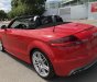 Audi TT S.line 2009 - Audi TT S. Line nhập mới từ Đức 2009, hàng full mui xếp cao cấp, mẫu mới màu đỏ