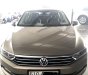 Volkswagen Passat GP 2016 - Tiết kiệm ngay 300 triệu khi sở hữu Passat doanh nhân