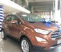Ford EcoSport   Titanium  2018 - Bán xe Ford Ecosport Titanium 2018, tặng bảo hiểm, bệ bước
