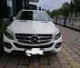 Mercedes-Benz GLE-Class GLE400  2016 - Cần bán Mercedes GLE400 đã qua sử dụng chính hãng