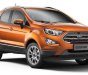 Ford EcoSport Titanium 1.5L AT 2018 - Bán xe Ford EcoSport Titanium 1.5L AT, sale summer, khuyến mãi mùa hè: BHVC, phim, camera, ghế da, LH 0935437595 để nhận thông tin khuyến mại