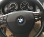 BMW 5 Series  520i 2.0 AT  2015 - Bán xe BMW 520i 2.0 AT sản xuất năm 2015, màu trắng, nhập khẩu nguyên chiếc