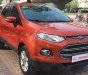 Ford EcoSport 2016 - Bán ô tô Ford EcoSport năm sản xuất 2016, giá 550tr