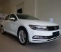 Volkswagen Passat Bluemotion 2017 - Bán xe Volkswagen Passat Bluemotion đời 2017, màu trắng, nhập khẩu nguyên chiếc. LH 0901 933 522 (Vy)