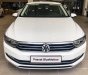 Volkswagen Passat Bluemotion 2017 - Bán xe Volkswagen Passat Bluemotion đời 2017, màu trắng, nhập khẩu nguyên chiếc. LH 0901 933 522 (Vy)