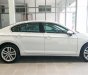 Volkswagen Passat Bluemotion 2017 - Bán xe Volkswagen Passat Bluemotion đời 2017, màu trắng, nhập khẩu nguyên chiếc. LH 0901 933 522 (Vy)