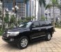 Toyota Land Cruiser 4.6VX 2018 - Bán Toyota Land Cruiser 4.6VX đời 2018, màu đen, nhập khẩu nguyên chiếc