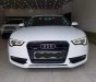 Audi A5 2014 - Bán xe Audi A5 sản xuất 2014, màu trắng, xe nhập