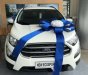 Ford EcoSport   2018 - Cần bán Ford EcoSport sản xuất 2018, màu trắng, giá chỉ 593 triệu
