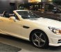 Mercedes-Benz SLK class SLK 350 2017 - Bán Mercedes Benz SLK 350 đời 2017 - Giá đặc biệt - Nhiều ưu đãi