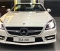 Mercedes-Benz SLK class SLK 350 2017 - Bán Mercedes Benz SLK 350 đời 2017 - Giá đặc biệt - Nhiều ưu đãi