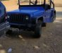 Jeep Wrangler   1980 - Cần bán lại xe Jeep Wrangler đời 1980, màu xanh lam giá cạnh tranh