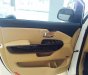 Kia Sedona 3.3L GATH  2018 - Cần bán xe Kia Sedona 3.3L GATH sản xuất năm 2018, màu trắng