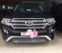 Toyota Land Cruiser 4.6 VX  2016 - Cần bán xe Toyota Land Cruiser 4.6 VX 2016, màu đen, nhập khẩu nguyên chiếc