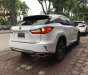 Lexus RX 350 Luxury 2019 - Bán Lexus RX 350 Luxury sx 2019, màu trắng, nhập khẩu nguyên chiếc 