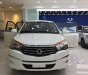 Ssangyong Stavic AT 2017 - Bán Ssangyong Stavic 9 chỗ nhập khẩu Hàn Quốc