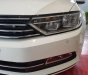 Volkswagen Passat S 2015 - Bán Passat S, xe nhập khẩu Đức, giá tốt nhất Việt Nam, LH: 0901933522 - Đừng mua xe khi chưa đọc tin này