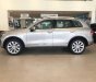 Volkswagen Touareg   3.6 V6  2018 - Bán ô tô Volkswagen Touareg 3.6 V6 2018, màu bạc, nhập khẩu