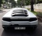 Lamborghini Huracan   2014 - Bán xe Lamborghini Huracan sản xuất 2014, màu trắng, nhập khẩu nguyên chiếc