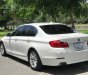 BMW 5 Series 523i   2010 - Bán ô tô BMW 523i 2010, màu trắng, xe nhập số tự động giá cạnh tranh