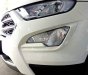 Ford EcoSport 1.0 Ecoboost 2018 - Cần bán Ford EcoSport 1.0 Ecoboost đời 2018, màu trắng, giá 689tr