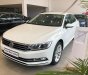 Volkswagen Passat JP 2018 - Bán ô tô Volkswagen Passat JP năm sản xuất 2018, màu trắng, nhập khẩu
