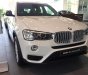 BMW X3 Mới   XDive 20i Twin Power Turbo 2018 - Xe Mới BMW X3 XDive 20i Twin Power Turbo 2018